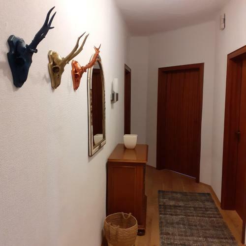 Apartamento G�stehaus Freilichtblick
