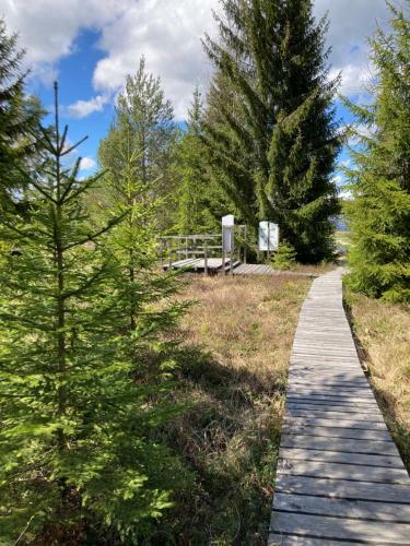 Apartamento Ferienwohnung Am See