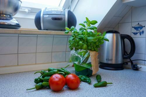 Apartamento Knudsen
