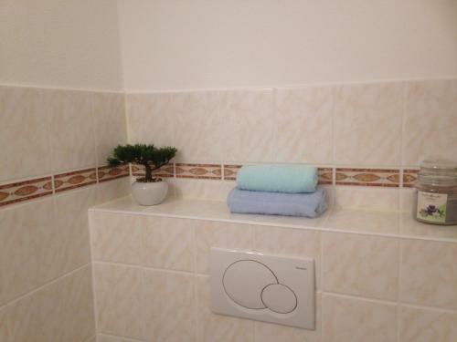 Apartamento Ferienwohnung Hahnenklee