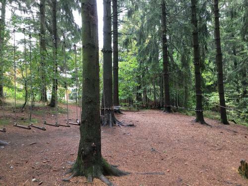 Apartamento Ferienwohnung Hahnenklee