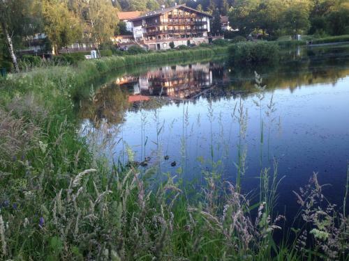 Apartamento Ferienwohnung Hahnenklee