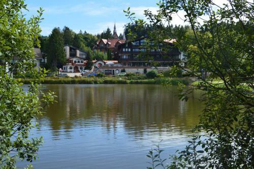 Apartamento Ferienwohnung Hahnenklee
