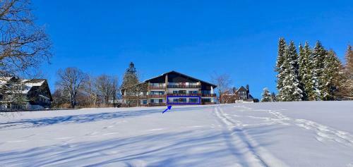 Apartamentos Bergliebe