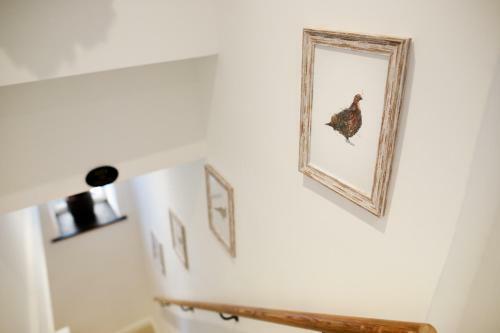Luxury Thatched Country Cottage - Dartmoor Devon