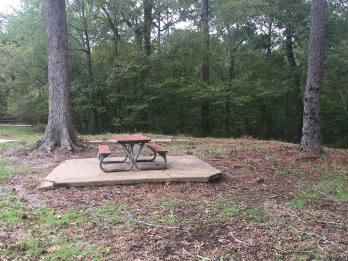 Tentrr State Park Site - Chicot State Park Site E