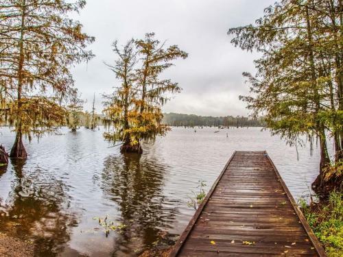 Tentrr State Park Site - Chicot State Park Site G
