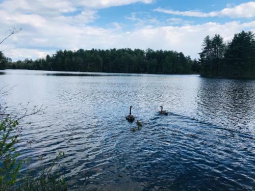 Tentrr Signature Site - Waters Edge At Ewe Turn Farm