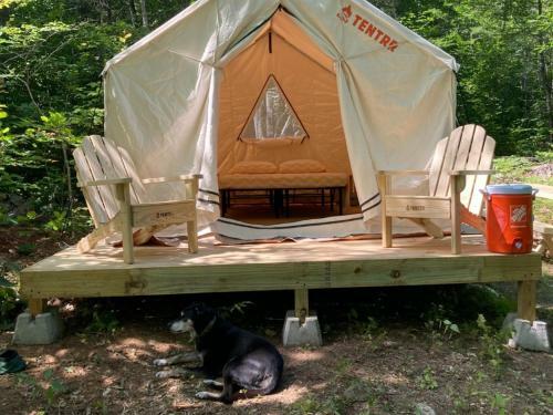 Tentrr Signature Site - Two Eagles Campsite