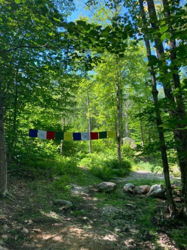 Tentrr Signature Site - Two Eagles Campsite