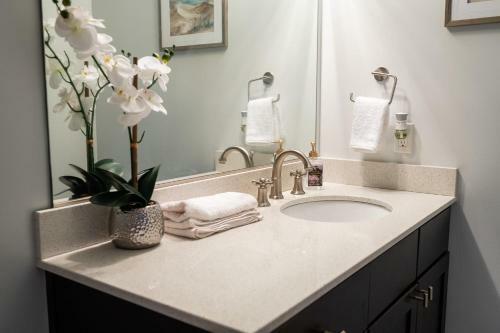 Apartamento French Quarter Q