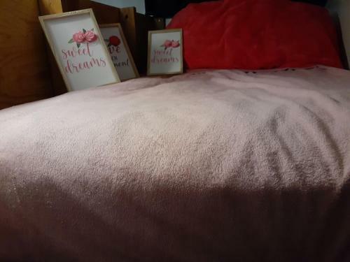 Albergue 30 Day Stay Minimum Required Loft Beds