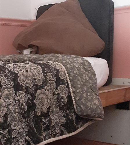 Albergue 30 Day Stay Minimum Required Loft Beds