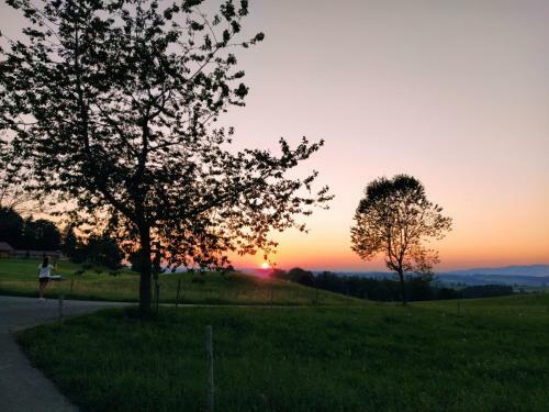 Apartamento Pusteblume