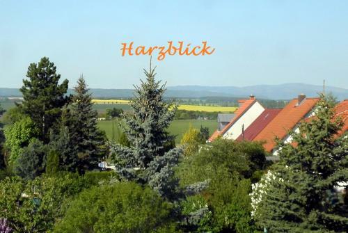 Ferienhaus "harzblick"