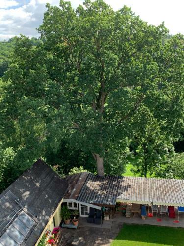 Apartamento Pino24