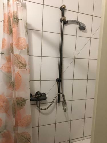 Apartment Am Friedrich Ebert Park Mit �ber 100qm Wohnfl�che