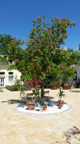 Apartamento Ferienwohnung Gr�ne Oase