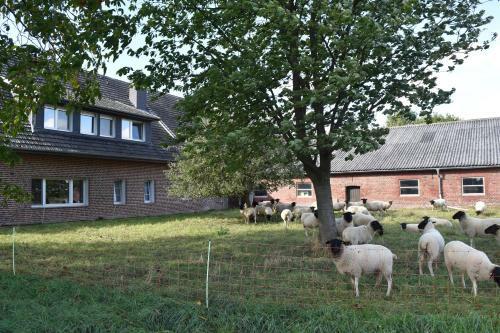 Agroturismo Kreativhof Lehmberg