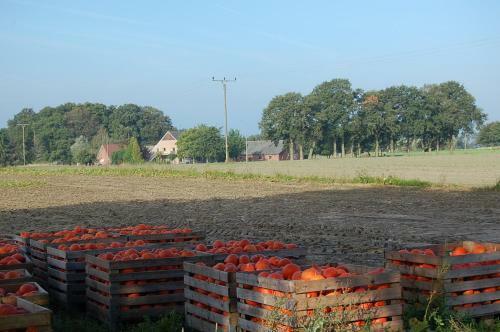 Agroturismo Kreativhof Lehmberg