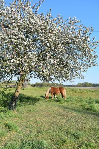 Agroturismo Kreativhof Lehmberg