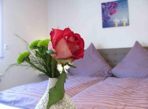 Hostal Pension Zum Schloss