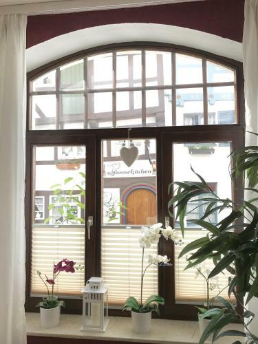 Apartamento Altstadt-refugium
