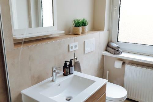 Apartment An Der Altstadt (#6)