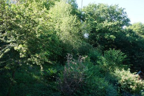 Apartamento Gr�ne Oase
