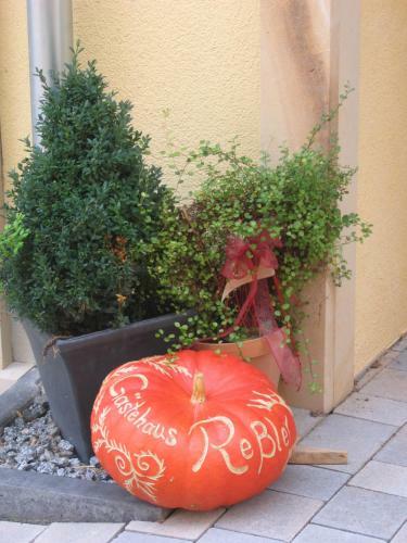 Hostal G�stehaus Re�ler