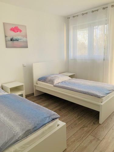 Apartamento Ig-apartments