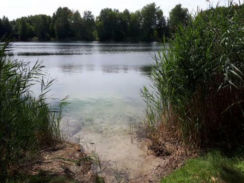 Apartamento Villa Duck-dich-s�dheide