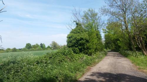 Hostal The Barn Annexe