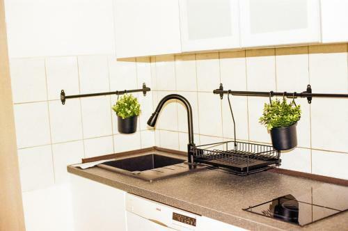 Apartamento Vivo Hospital Maxi
