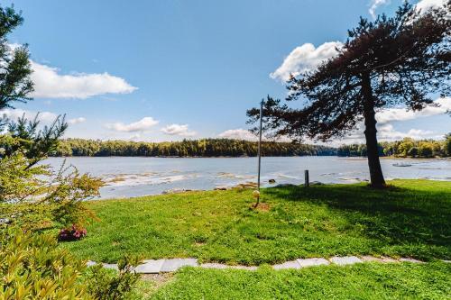 Water's Edge