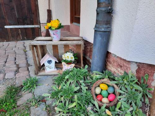 Apartamento Ferienwohnung -main- Ruheplatz Am Wasser