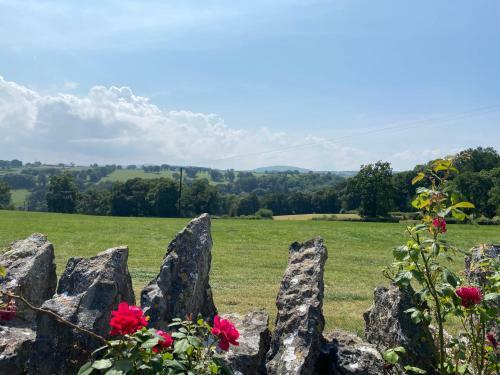 Massive Enclosed Garden & Stunning Views St Asaph