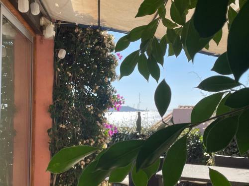 Villa Bougainville