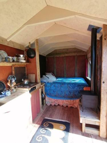 Stargazer Shepherds Hut A Warm And Cosy Getaway