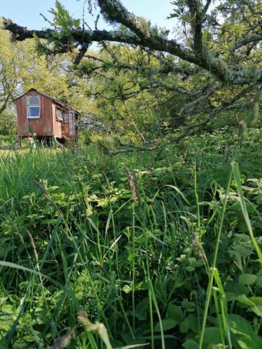 Stargazer Shepherds Hut A Warm And Cosy Getaway