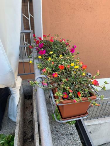 Hostal New Verona Business And Fun G B Rossi Friendly