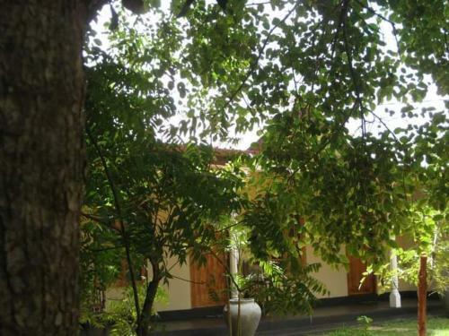 Bed & Breakfast Mahayaya Village