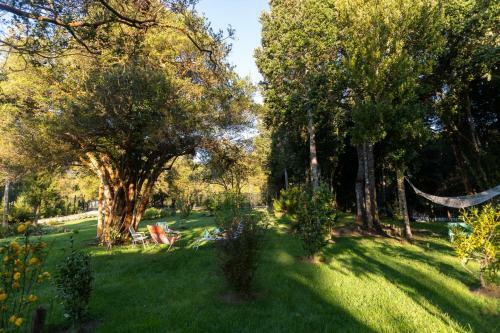 The Forest House Cocham�