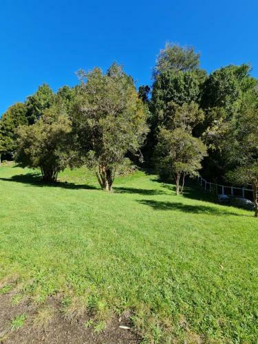 The Forest House Cocham�