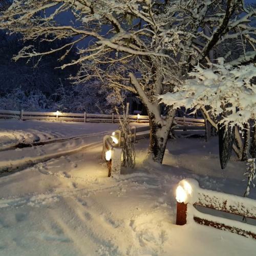 Caba�as Bosque Nevado