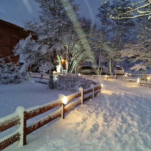 Caba�as Bosque Nevado