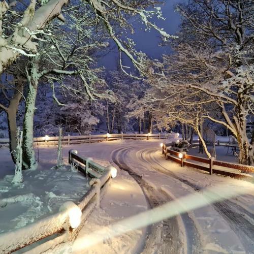 Caba�as Bosque Nevado
