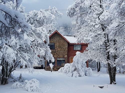 Caba�as Bosque Nevado