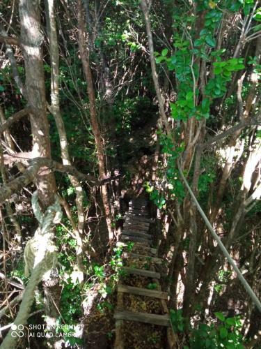 Apartamento Caba�as Las Chilcas Maull�n