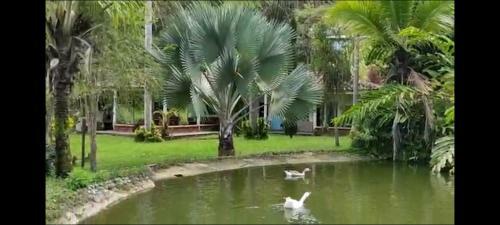 La Reserva